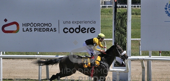 Viernes 14 de noviembre de 2025 - Hipódromo Las Piedras