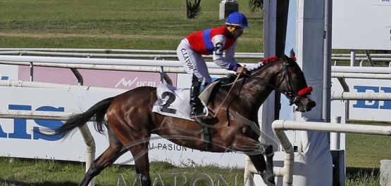 Sábado 15 de noviembre de 2025 - Hipódromo Nacional de Maroñas