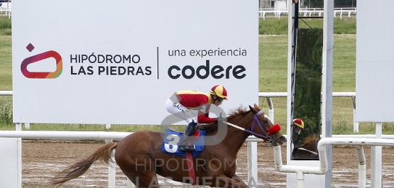 Viernes 21 de noviembre de 2025 - Hipódromo Las Piedras