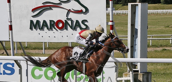 Domingo 23 de noviembre de 2025 - Hipódromo Nacional de Maroñas