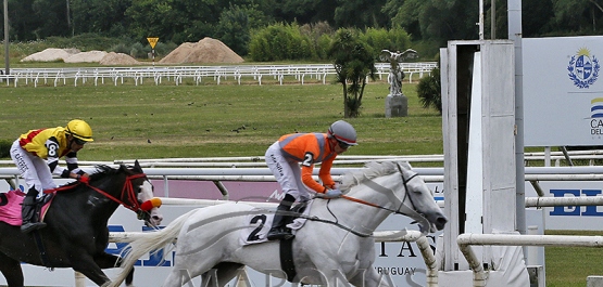 Domingo 30 de noviembre de 2025 - Hipódromo Nacional de Maroñas