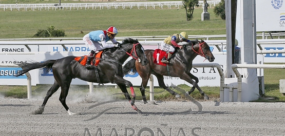 Sábado 6 de diciembre de 2025 - Hipódromo Nacional de Maroñas