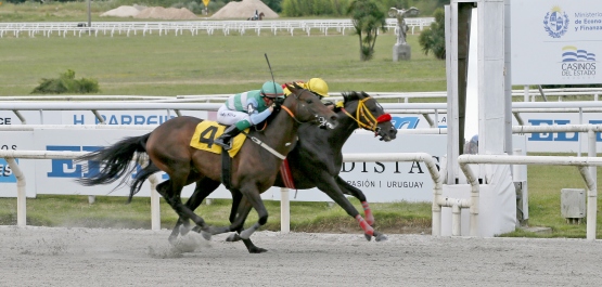 GRAN PREMIO COMPARACIÓN