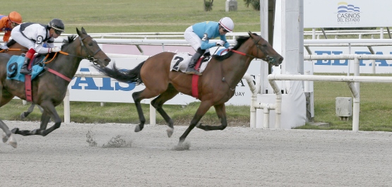 GRAN PREMIO ESTÍMULO