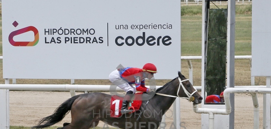 Sábado 20 de diciembre de 2025 - Hipódromo Las Piedras