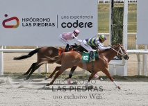 Domingo 4 de enero de 2026 - Hipódromo Las Piedras