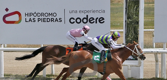 Domingo 4 de enero de 2026 - Hipódromo Las Piedras