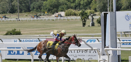 Domingo 11 de enero de 2026 - Hipódromo Nacional de Maroñas