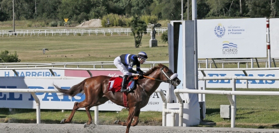 HANDICAP ESPECIAL ROBERTO A. FERBER