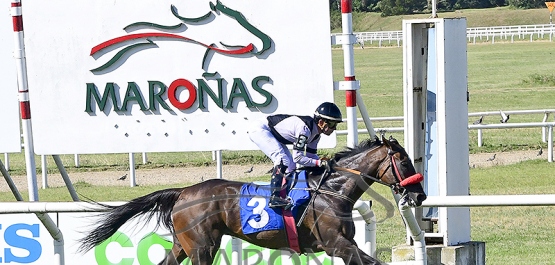 Sábado 17 de enero de 2026 - Hipódromo Nacional de Maroñas.