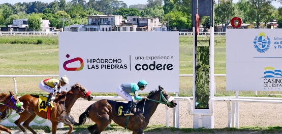 GRAN PREMIO POLLA DE POTRANCAS