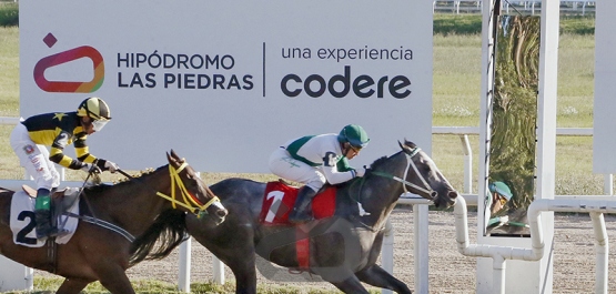 Viernes 23 de enero 2026 - Hipódromo de Las Piedras