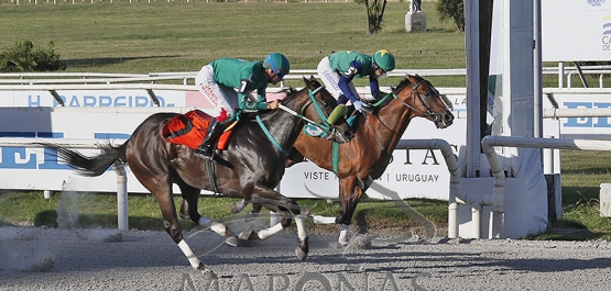 Sábado 24 de enero de 2026 HNM