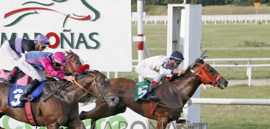 Domingo 25 de enero de 2026 HNM