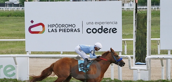 Viernes 30 de enero de 2026 HLP