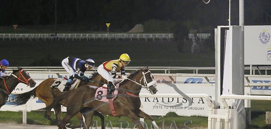 Sábado 31 de enero de 2026 HNM