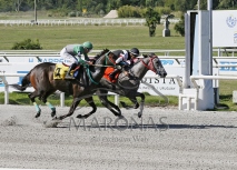 Domingo 1ero de Febrero de 2026