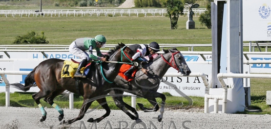 Domingo 1ero de Febrero de 2026