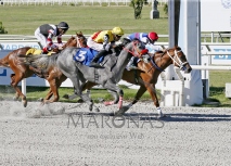 Viernes 6 de febrero de 2026 - Hipódromo Nacional de Maroñas