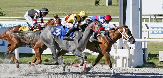 Viernes 6 de febrero de 2026 - Hipódromo Nacional de Maroñas
