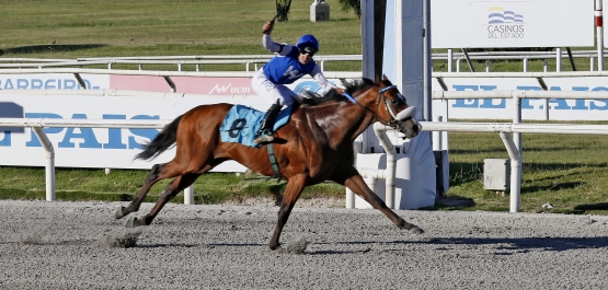 GRAN PREMIO GENERAL ARTIGAS