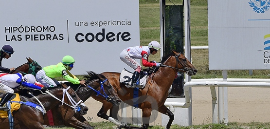 Viernes 13 de febrero de 2026 - Hipódromo Las Piedras