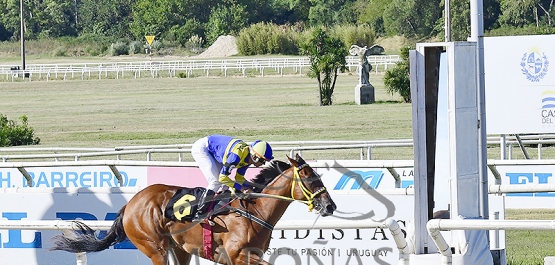 Sábado 14 de febrero de 2026 - Hipódromo Nacional de Maroñas