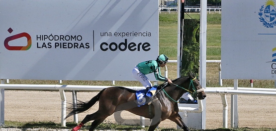 Viernes 20 de febrero de 2026 - Hipódromo Las Piedras