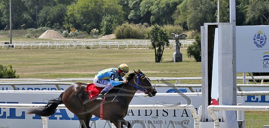 Domingo 22 de febrero de 2026 - Hipódromo Nacional de Maroñas