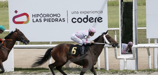 Sábado 7 de marzo de 2026 - Hipódromo Las Piedras