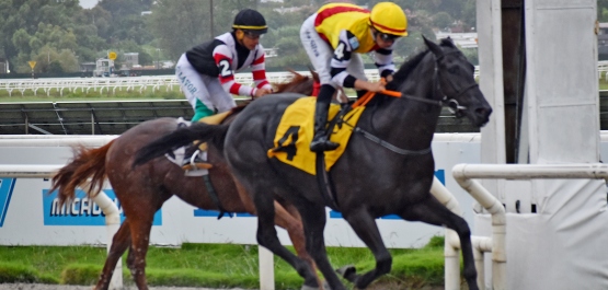 CLÁSICO ADOLFO FOLLE JUANICO