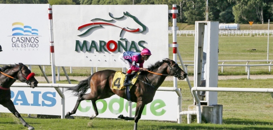 CLÁSICO GUILLERMO YOUNG