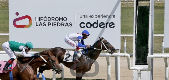 Viernes 13 de marzo de 2026 - Hipódromo Las Piedras