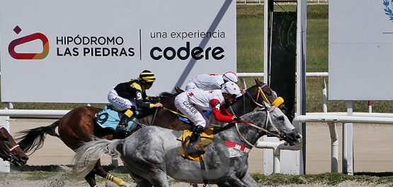 Viernes 20 de marzo de 2026 - Hipódromo Las Piedras
