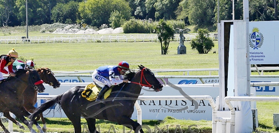 Domingo 22 de marzo de 2026 - Hipódromo Nacional de Maroñas