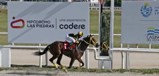 PREFERENCIAL "JOSÉ PASCUAL MAGGIOLO TUANA"