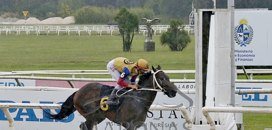Domingo 29 de marzo de 2026 - Hipódromo Nacional de Maroñas
