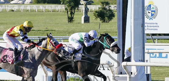 Viernes 3 de abril de 2026 - Hipódromo Nacional de Maroñas