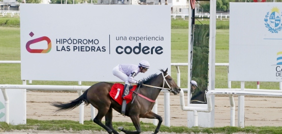 CLÁSICO ARTURO PIÑEYRO