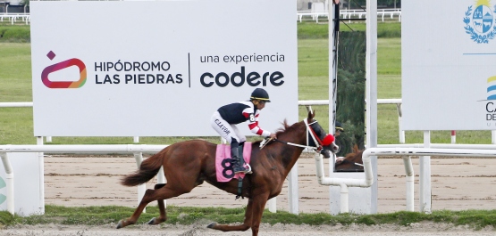 CLÁSICO UBAL MIGUES