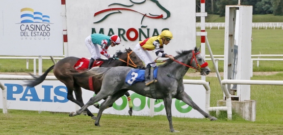 CLÁSICO ALVARO VARGAS GUILLEMETTE