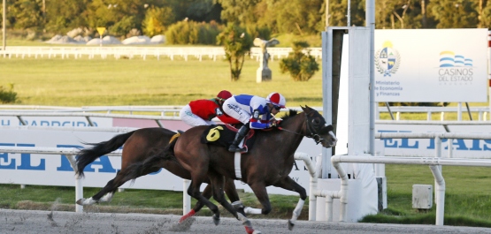 CLÁSICO JOSE MARTINELLI GOMEZ