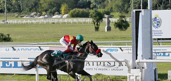 Sábado 11 de abril de 2026 - Hipódromo Nacional de Maroñas