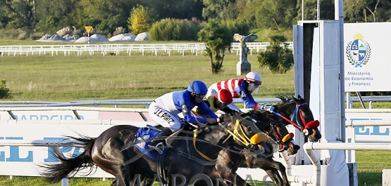 Domingo 12 de abril de 2026 - Hipódromo Nacional de Maroñas