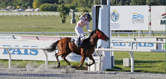 GRAN PREMIO MUNICIPAL