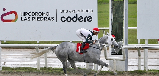 Viernes 17 de abril de 2026 - Hipódromo Nacional de Maroñas