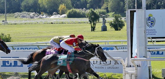 Domingo 19 de abril de 2026 - Hipódromo Nacional de Maroñas