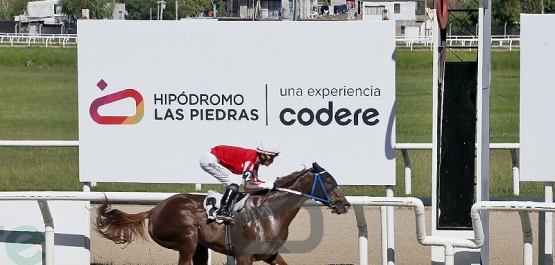 Viernes 24 de abril de 2026 - Hipódromo Las Piedras