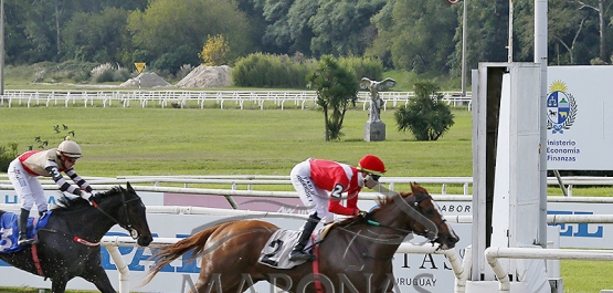 Sábado 25 de abril de 2026 - Hipódromo Nacional de Maroñas