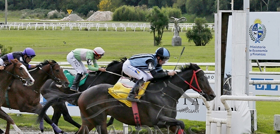 Domingo 26 de abril de 2026 - Hipódromo Nacional de Maroñas